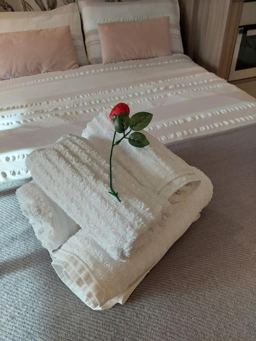 21 The Cocoa Suites يورك المظهر الخارجي الصورة